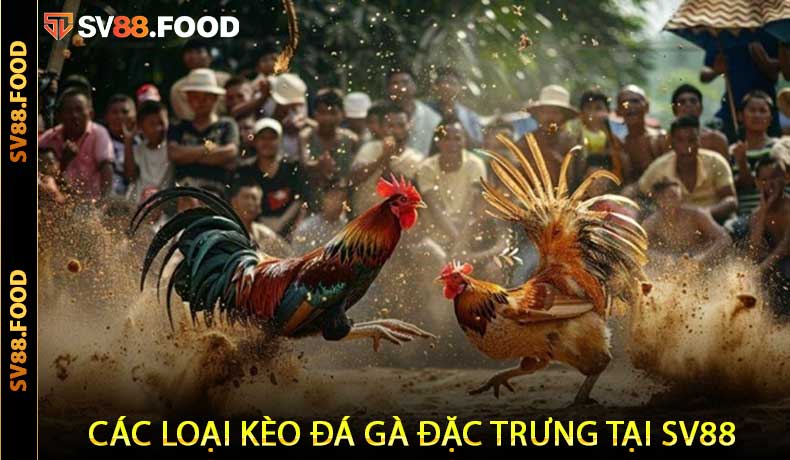 Các Loại Kèo Đá Gà Đặc Trưng Tại SV88